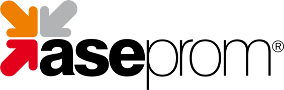 ASEPROM