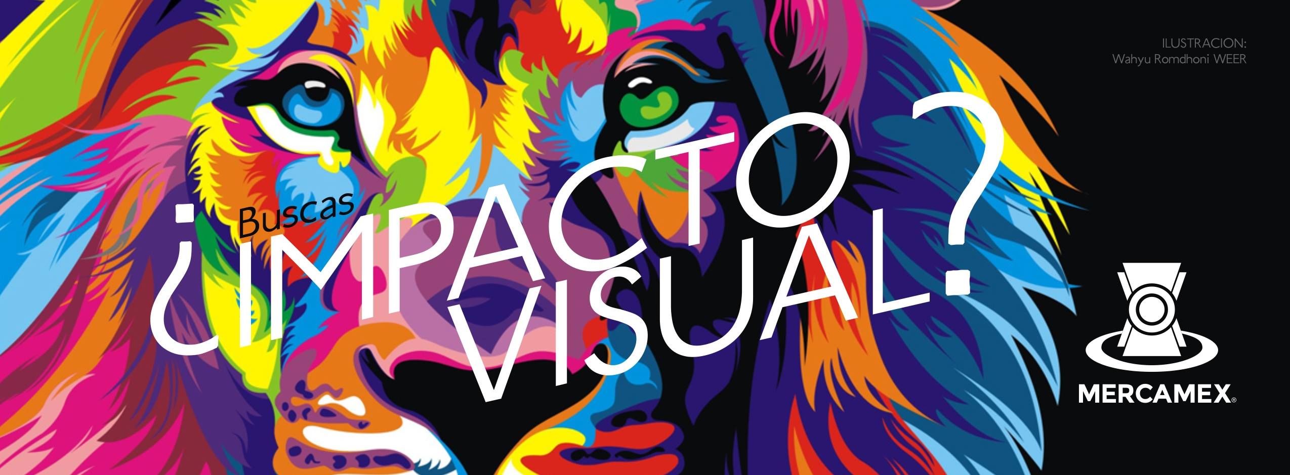 Principal Mercamex 2