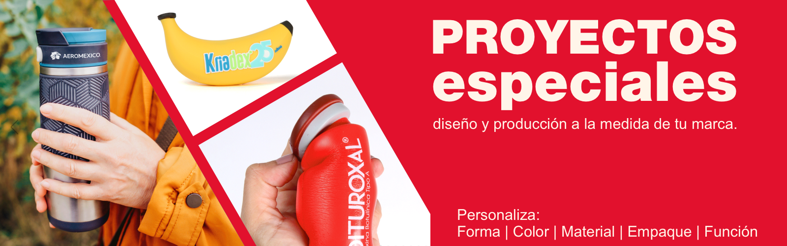 Proyectos especiales