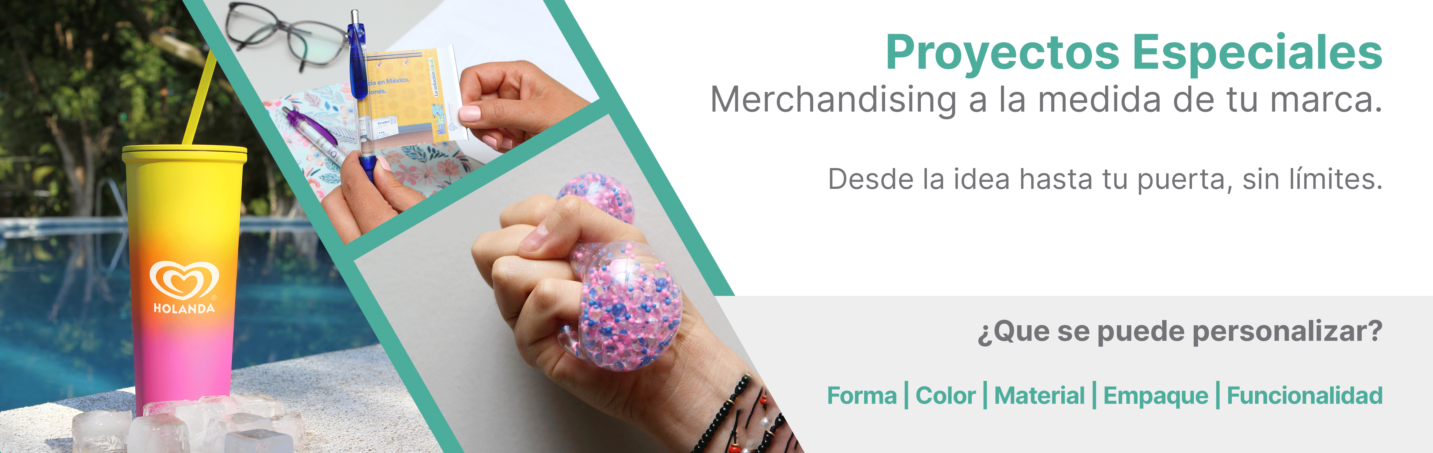 Proyectos Especiales