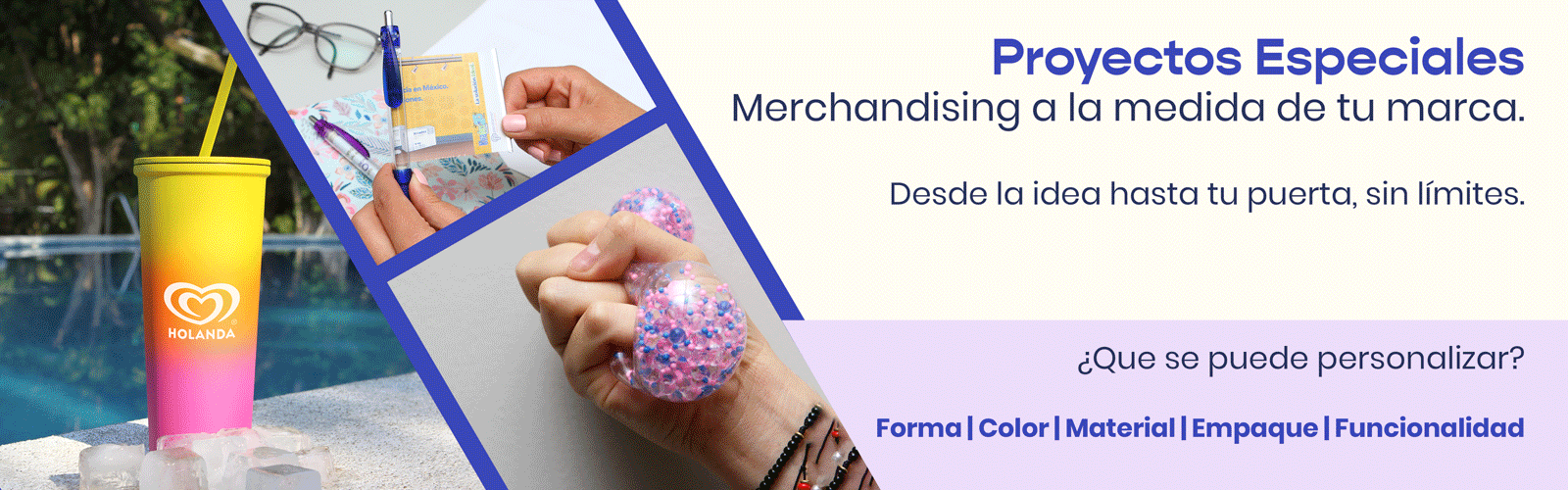 Proyectos Especiales