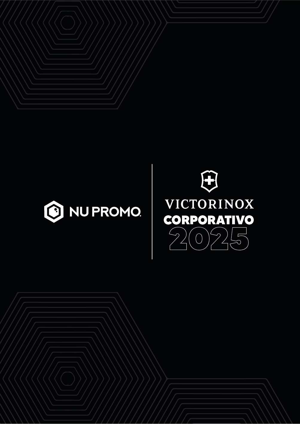 VICTORINOX (BACKPACKS)